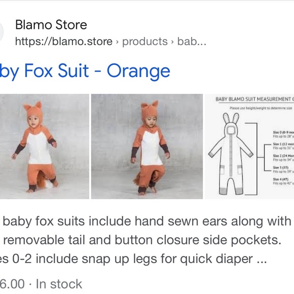 Fox suit - Picture 4 of 4